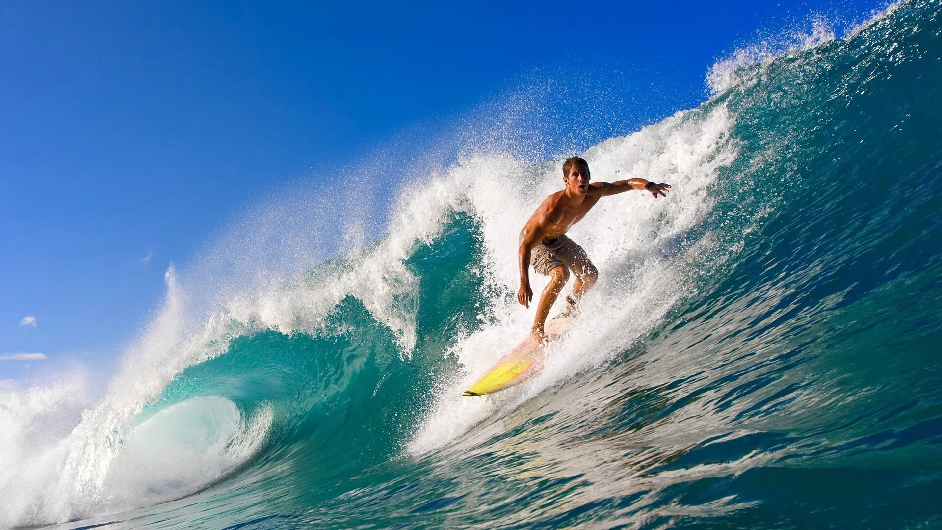 当团队篮球撕破巨星画皮，黄蜂如何用一场反噬之战，给开拓者上一堂现代篮球课