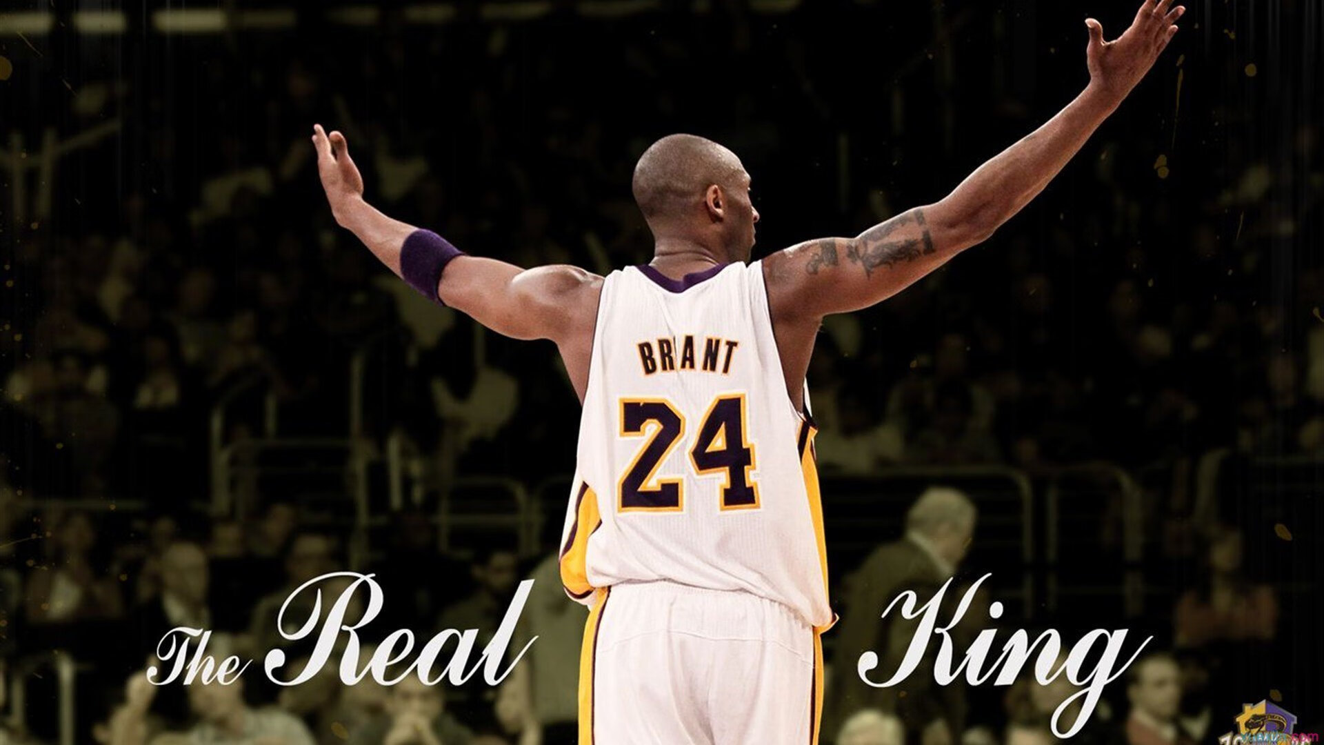 开云体育直播-绝境翻盘与王者归来，德国队的逆袭剧本，与辛杜的灼热宣言